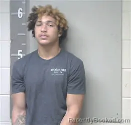 Recent Mugshot Image for DEVON MICHAEL DANIEL in Marshall County, Alabama