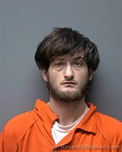 Recent Mugshot Image for Matthew Blake Dison in Russell County, Alabama