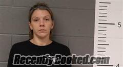Recent Mugshot Image for NICOLE IVY in St Clair County, Alabama