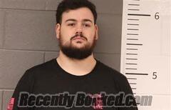 Recent Mugshot Image for AUSTIN WILLIAMS in St Clair County, Alabama