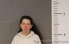 Recent Mugshot Image for JAMIE POTTS in St Clair County, Alabama