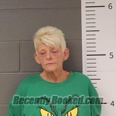 Recent Mugshot Image for SANDRA LOLIES in St Clair County, Alabama