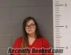 Recent Mugshot Image for SHELBY HIX in St Clair County, Alabama