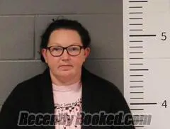 Recent Mugshot Image for ASHLEY NELSON in St Clair County, Alabama