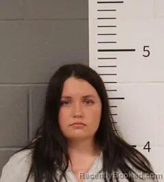 Recent Mugshot Image for ABBIGAIL DAVIS in St Clair County, Alabama