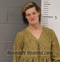 Recent Mugshot Image for DEBORAH ISBELL in St Clair County, Alabama