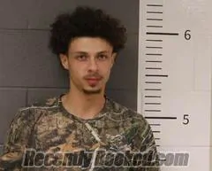 Recent Mugshot Image for TYLER TRUSS in St Clair County, Alabama