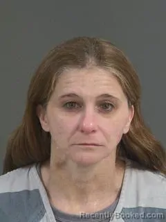 Recent Mugshot Image for SANDRA DENISE POSTELL in Charleston County, South Carolina