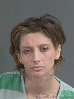 Recent Mugshot Image for LINDA TERRI FLORES in Charleston County, South Carolina