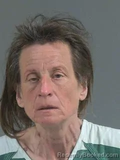 Recent Mugshot Image for DEBORAH ROSE ELLIS in Charleston County, South Carolina