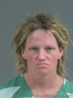 Recent Mugshot Image for ASHLEY MARIE DILLEN in Charleston County, South Carolina