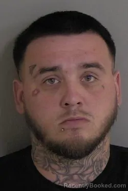 Recent Mugshot Image for BRYAN CHANCE ZUCCARELLO in Ascension Parish, Louisiana