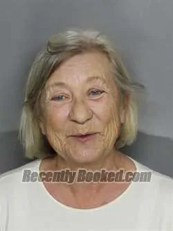 Recent Mugshot Image for SANDRA S DOLATA in Charlotte County, Florida