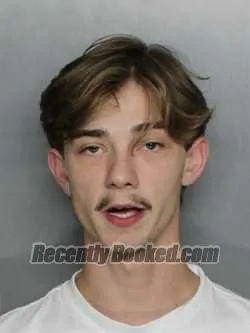 Recent Mugshot Image for DAMIAN XAVIER RANSOM in Charlotte County, Florida