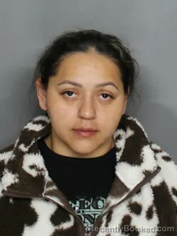 Recent Mugshot Image for VIOLET CASAS in Charlotte County, Florida