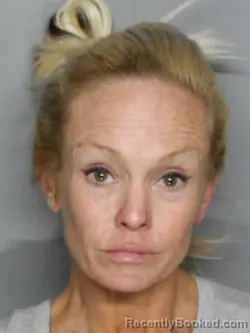 Recent Mugshot Image for MEGAN ELIZABETH KACICA in Charlotte County, Florida