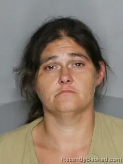 Recent Mugshot Image for MEGAN NICOLE PARBUS in Charlotte County, Florida