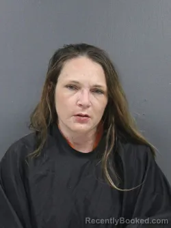 Recent Mugshot Image for Tanya Johnson in Cherokee County, South Carolina