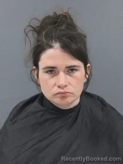 Recent Mugshot Image for Ashley Hester in Cherokee County, South Carolina