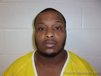 Recent Mugshot Image for SHANNON L ANDERSON in Bossier Parish, Louisiana