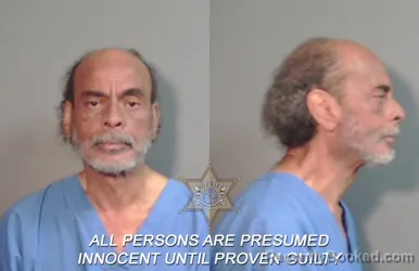 Recent Mugshot Image for Ossie Mike Johnson in Caddo Parish, Louisiana