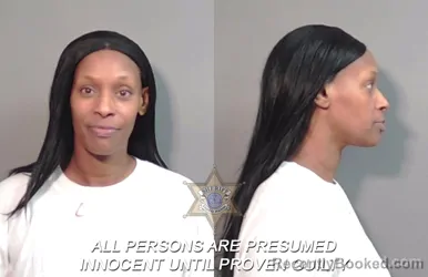 Recent Mugshot Image for Tearia Lashay Robinson in Caddo Parish, Louisiana