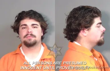 Recent Mugshot Image for Chandler Alden Persilver in Caddo Parish, Louisiana