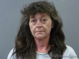 Recent Mugshot Image for REGINA DAWN POLK in Chesterfield County, South Carolina