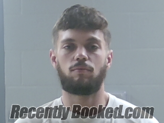 Recent Mugshot Image for MASON WILLIAMS HARO in Livingston Parish, Louisiana