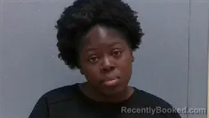 Recent Mugshot Image for SHONDA PRINCE in Darlington County, South Carolina