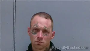 Recent Mugshot Image for TERRY PERKINS in Darlington County, South Carolina