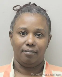 Recent Mugshot Image for RACHAEL ANN GEORGE in Vermilion Parish, Louisiana