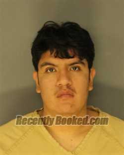 Recent Mugshot Image for IRVIN BAUTISTASANCHEZ in Essex County, New Jersey