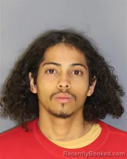 Recent Mugshot Image for TALLIS H MENDESDEOLIVEIRA in Essex County, New Jersey