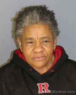 Recent Mugshot Image for COLLEEN M FIELDS in Essex County, New Jersey