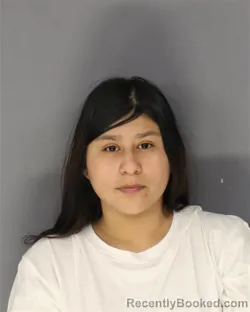 Recent Mugshot Image for KARLA S SCUTOS MORALES in Essex County, New Jersey