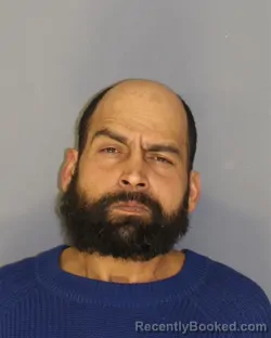 Recent Mugshot Image for BRADLESH RAGOONANAN in Essex County, New Jersey
