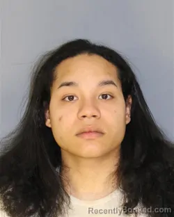 Recent Mugshot Image for YANNICK DE SOUZA in Essex County, New Jersey