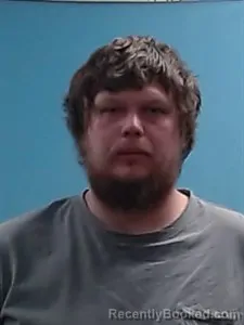 Recent Mugshot Image for Cameron D Lewis in Boone County, Arkansas