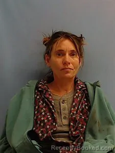 Recent Mugshot Image for Joanna Goodson in Calhoun County, Arkansas