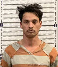 Recent Mugshot Image for ROCENDO FERNANDEZ in Greene County, Arkansas