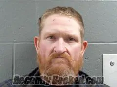 Recent Mugshot Image for BRIAN IVIE in Izard County, Arkansas