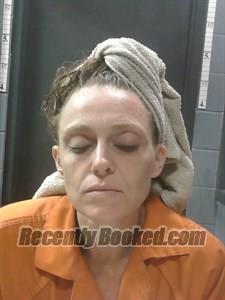 Recent Mugshot Image for Savanna SHAWNES VEALE in Johnson County, Arkansas