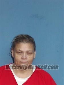 Recent Mugshot Image for Misty M Cox in Lonoke County, Arkansas