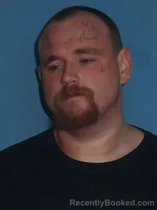 Recent Mugshot Image for David Wayne Taylor in Lonoke County, Arkansas