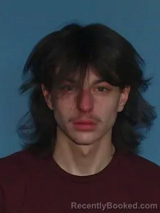 Recent Mugshot Image for Jackson Powell Powell in Lonoke County, Arkansas