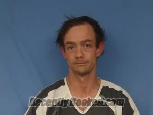 Recent Mugshot Image for Clinton Michael Whitney in Newton County, Arkansas