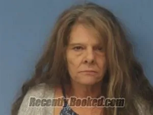Recent Mugshot Image for Scherra Lucien Moss in Newton County, Arkansas