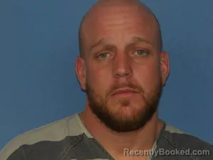 Recent Mugshot Image for Joshua Lynn Hrnjak in Newton County, Arkansas