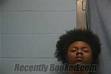 Recent Mugshot Image for KAJAVIOUS MALONE in Ouachita County, Arkansas